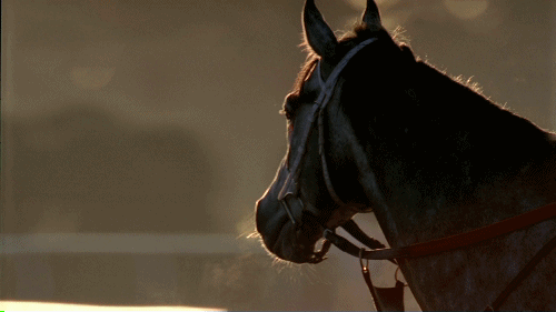 Je paard voor je wagen spannen